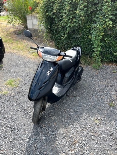 599.  動画あり　ホンダ　ライブディオZX仕様　綺麗　原付　バイク　50cc   車体