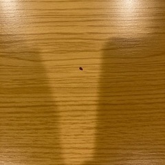 ニトリ インテール2 ダイニングテーブルの画像