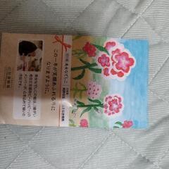 美女なでしこの種