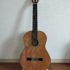 ギター（島村楽器）