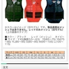 乗馬　ボディプロテクター　美品の画像