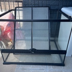 GEX グラステラリウム 6045