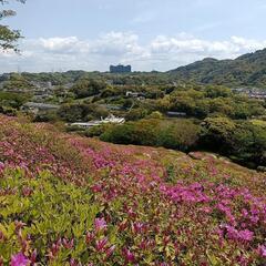 草刈り　緑地の管理　シニア　WワークOK　週1～可　働き方応相談...