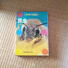 学研　昆虫図鑑の画像