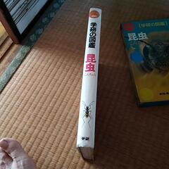 学研　昆虫図鑑の画像