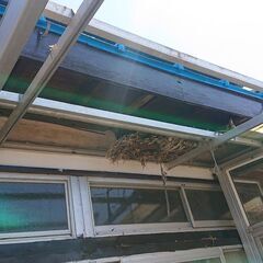 ●●大工さん募集！　埼玉県本庄市戸建て　2階屋根雨漏り修理、雨樋取り付け、軒天修理、テラス屋根修理お願いいたします。●●の画像