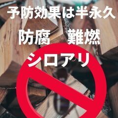 ホウ酸水溶液【ホウ酸濃度２４％】の画像