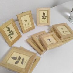 フォトフレーム等譲ります