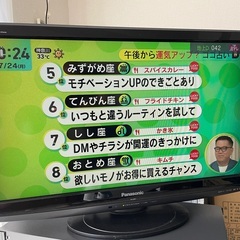 Panasonic TH-L32X1 32V型液晶テレビ