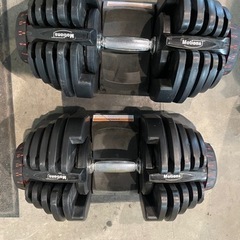 可変式ダンベル 40キロ × 2セット