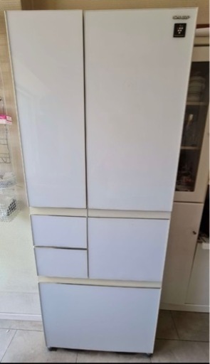 SHARP 冷蔵庫