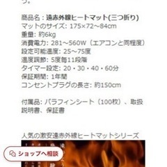 ゲルマ配合遠赤外線ヒートマットの画像
