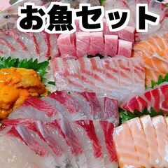 お魚セット 3kg お刺身OK 全国配送 スズキ 鱸 高級魚 白...