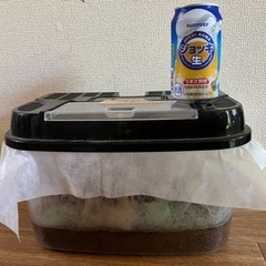 鈴虫お好きな方への贈答用フルセットの画像