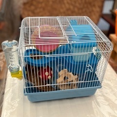 ハムスター用 おもちゃつきペットケージ
