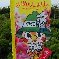 カラオケ🎤〜演歌好き🌠80年代の歌謡曲等など🎤