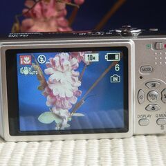 LUMIX　FS7　ジャンク手前で踏みとどまっているが撮影可能の画像