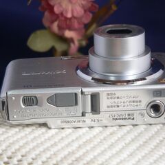 LUMIX　FS7　ジャンク手前で踏みとどまっているが撮影可能の画像