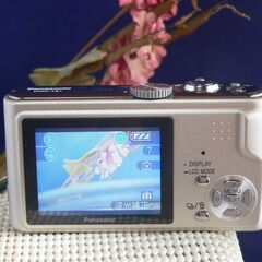 LUMIX　TZ1　　元気バリバリ　　純正充電器電池付きの画像