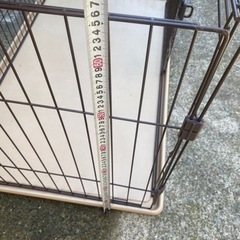 大型犬　ゲージの画像