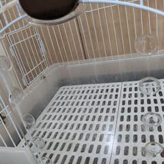 うさぎの飼育用ケージの画像