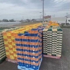 野菜コンテナ プラスチック コンテナ オリコン 中古 野菜/アウトドア/収納 コンテナボックス ボックス カゴ の画像