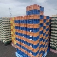 野菜コンテナ プラスチック コンテナ オリコン 中古 野菜/アウトドア/収納 コンテナボックス ボックス カゴ の画像
