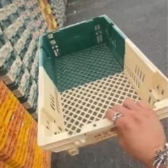 野菜コンテナ プラスチック コンテナ オリコン 中古 野菜/アウトドア/収納 コンテナボックス ボックス カゴ の画像