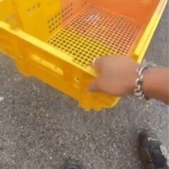 野菜コンテナ プラスチック コンテナ オリコン 中古 野菜/アウトドア/収納 コンテナボックス ボックス カゴ の画像