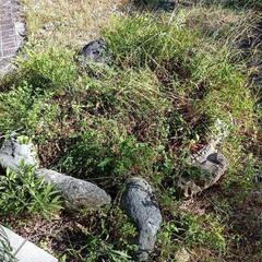 庭石と土 花壇や植木用