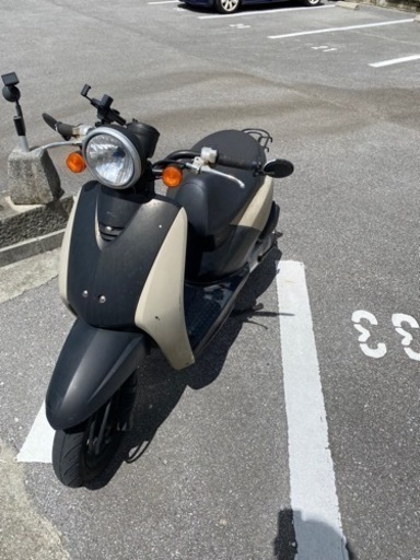 ホンダ　トゥデイ　50cc 原付　現役　早い者勝ち