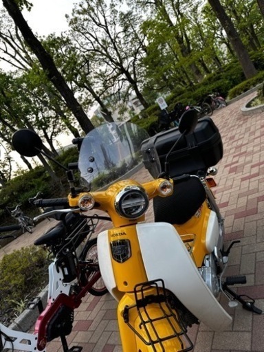 スーパーカブ50現行モデル