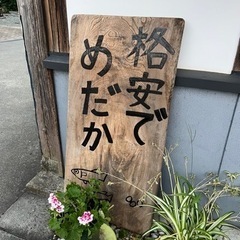 めだか　稚魚や卵もあり　100円／匹