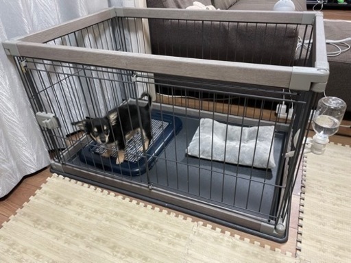 小型犬ケージ　アイリスオーヤマPWSR-960LV アッシュグレー