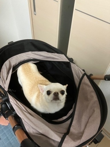 SKISOPGO 折りたたみ ペットカート ペットバギー　小型犬 中型犬