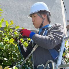 学生限定！短期アルバイト募集中！即日面接、翌日勤務可能！の画像
