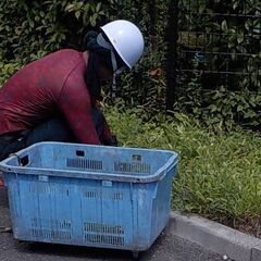 短期バイト募集！学生限定！週２からOK！の画像