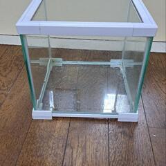 レプティワイルドの中古が安い！激安で譲ります・無料であげます
