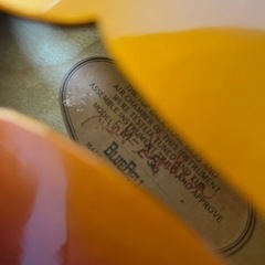★売却済み★【国産ビンテージ】マンドリン　BLUE BELL FM-25 ※弦交換済みの画像
