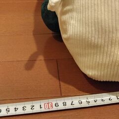 モルカー　デカぬいぐるみの画像
