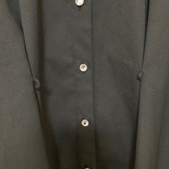 シースルーブラウス Mの画像
