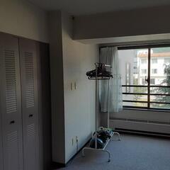 苗場　フジロックにも‼️最終チャンス‼️の画像