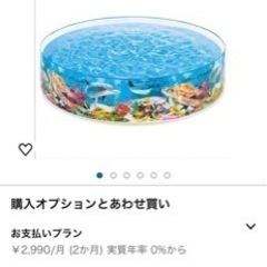 INTEXプールの画像