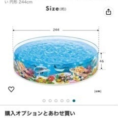 INTEXプールの画像