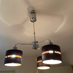 ペンダントライト照明　1000円の画像