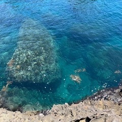 7/29 福井の磯釣り