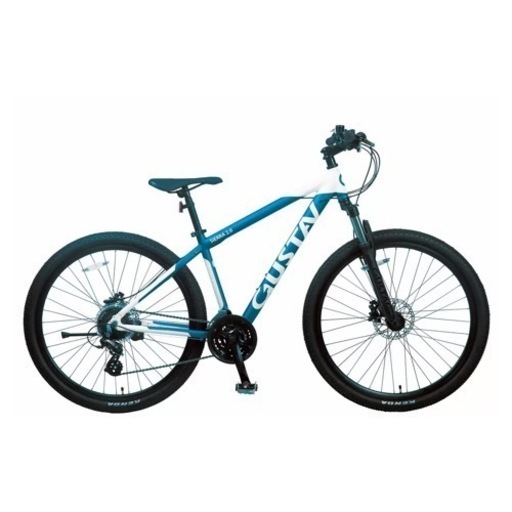 新車】Haro Bikes｜Flightline 24 本格派キッズマウンテンバイク 🚲✨