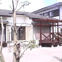 🏡土地90坪　広い庭付　平屋戸建賃貸　南区長住🏡