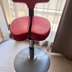 アーユル・チェアー　Ayur Chair ■姿勢改善椅子 腰痛改...