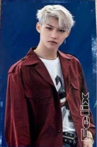 straykids ハイタッチ券 Felix